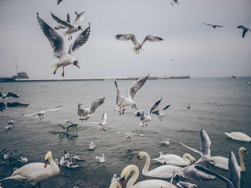 sudoku learning tool screenshot 4